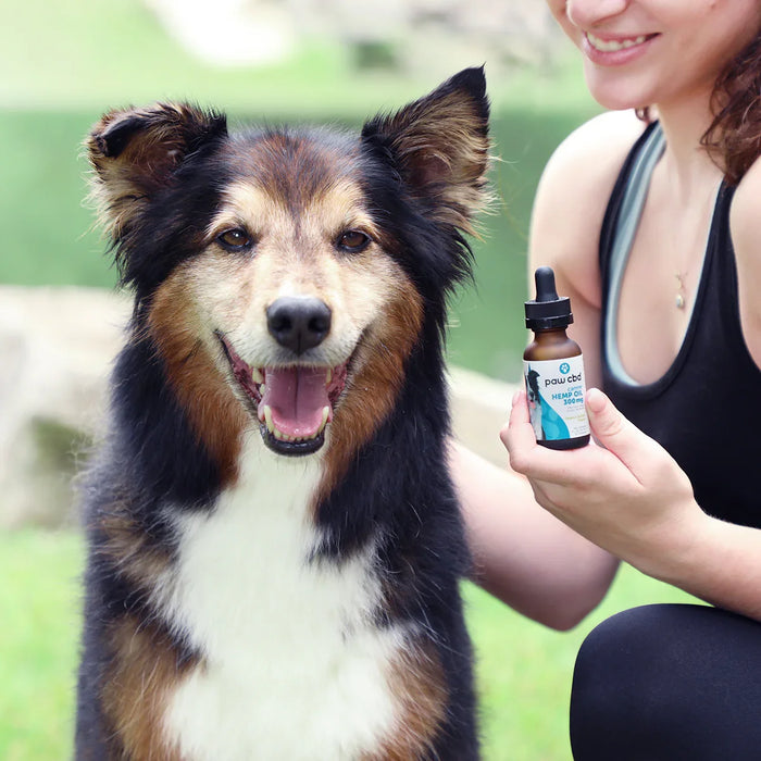 Happy dog outdoors beside woman holding paw cbd hemp oil tincture bottle; Strength: 300MG;