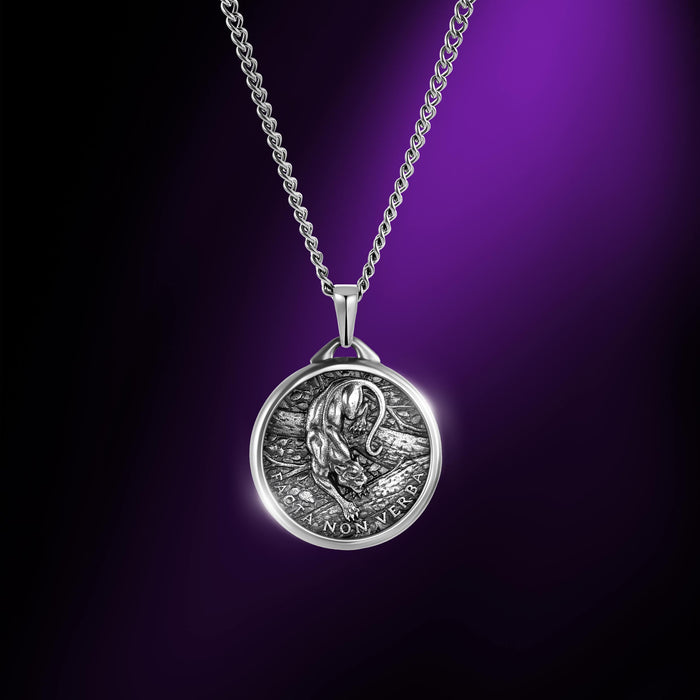 Silver necklace with a detailed pendant on a purple background