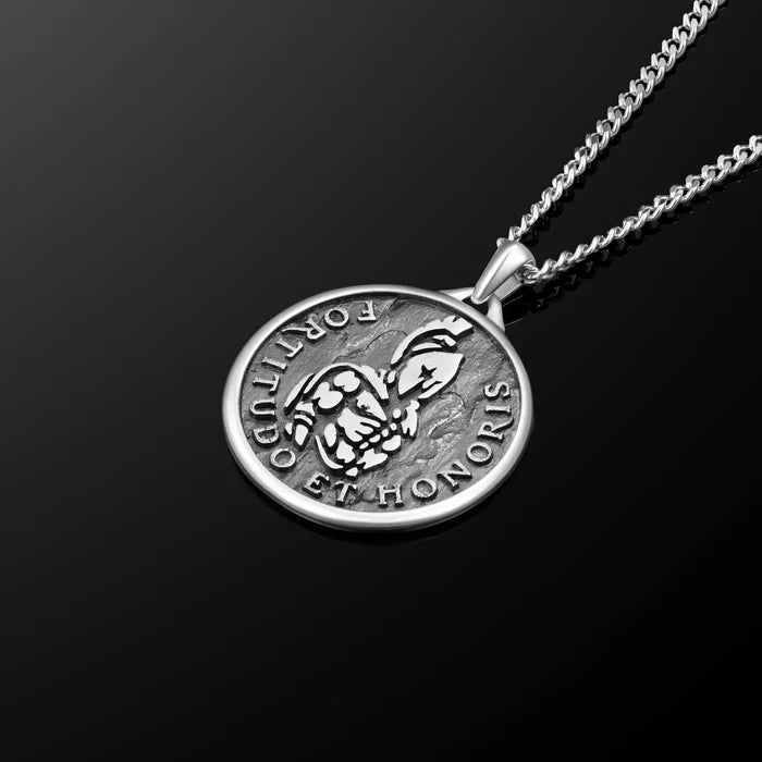 Silver chain necklace with a silver Spartan pendant