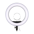 Godox LR160 Bi-Color Ringlight (Black)