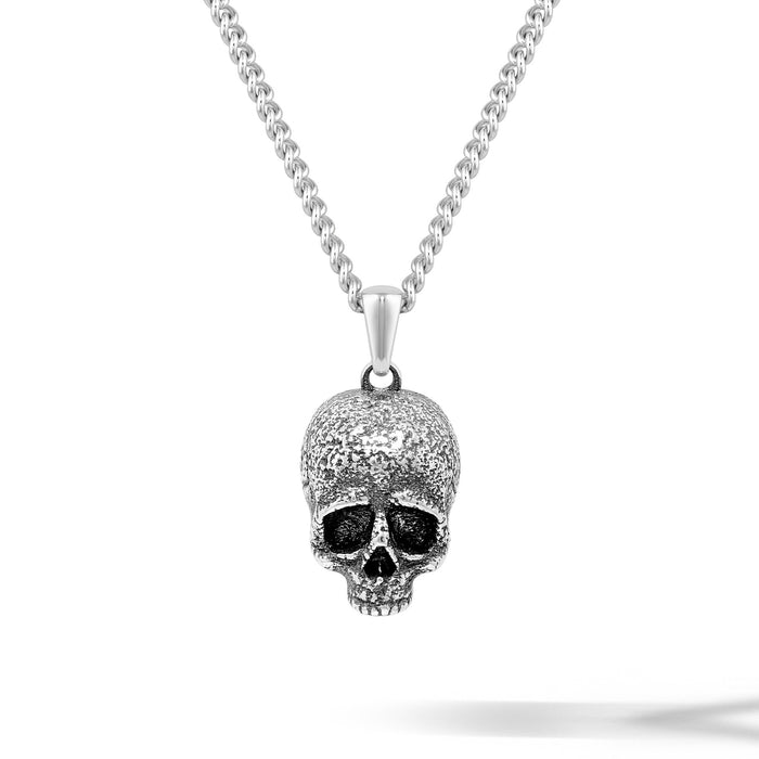 Skull-shaped pendant necklace on a white background