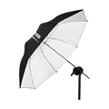 Profoto Shallow White Umbrella (Small 85cm, 33")