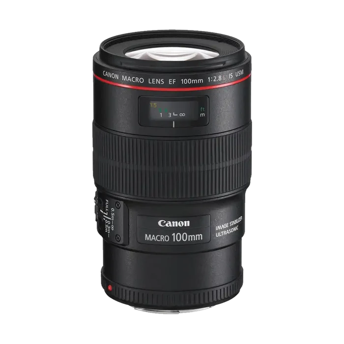 Rental: Canon EF 100mm f/2.8 L IS USM Macro Lens
