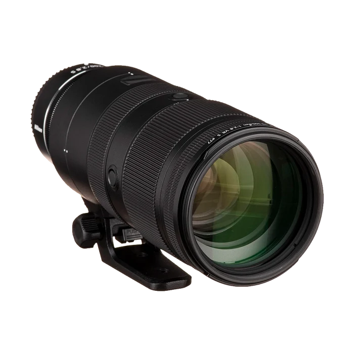 Rental: Nikon Z 70-200mm f/2.8 VR S Lens