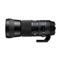 Rental: Sigma 150-600mm f/5-6.3 DG OS HSM Contemporary Lens (Canon)