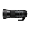 Rental: Sigma 150-600mm f/5-6.3 DG OS HSM Contemporary Lens (Nikon)