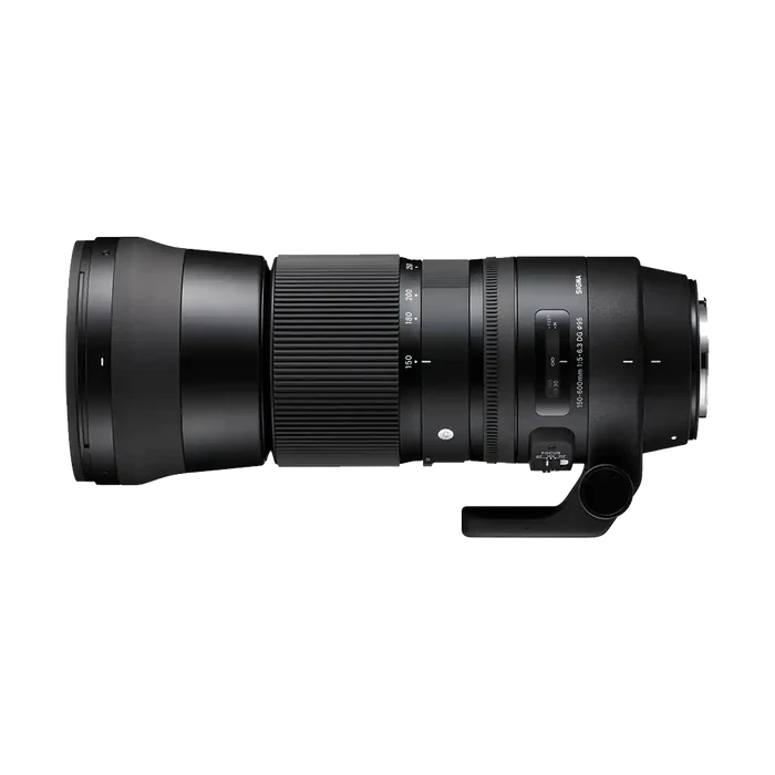 Rental: Sigma 150-600mm f/5-6.3 DG OS HSM Contemporary Lens (Nikon)