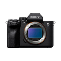 Rental: Sony Alpha a7S III Mirrorless Digital Camera