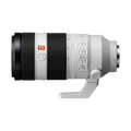 Rental: Sony FE 100-400mm f/4.5-5.6 GM OSS Lens