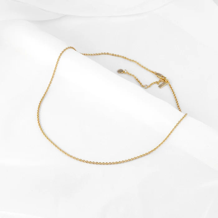 Rolo Chain Necklace - Gold