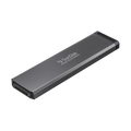 SanDisk Professional 1TB PRO-BLADE SSD Mag