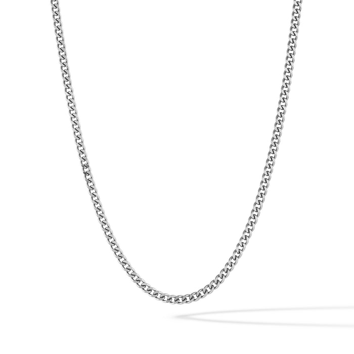 A silver curb chain necklace with a parrot clasp.