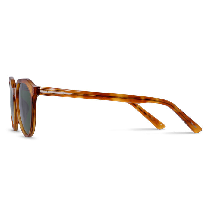 Sunglasses with tortoiseshell frame on a white background